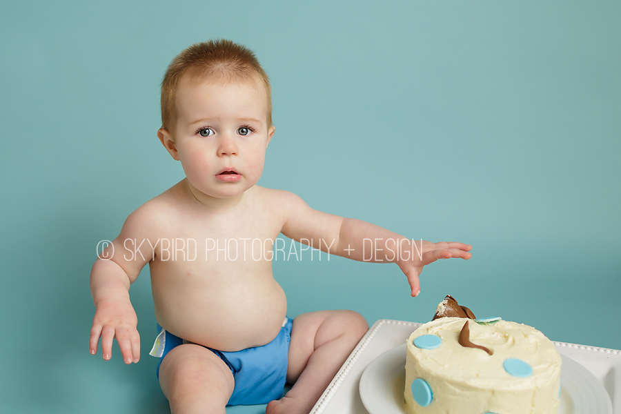 Charlottesville Cake Smash