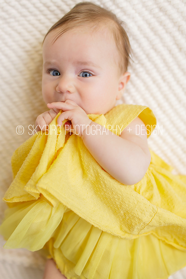 3 month old photography