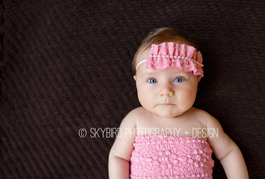 3 month old photography