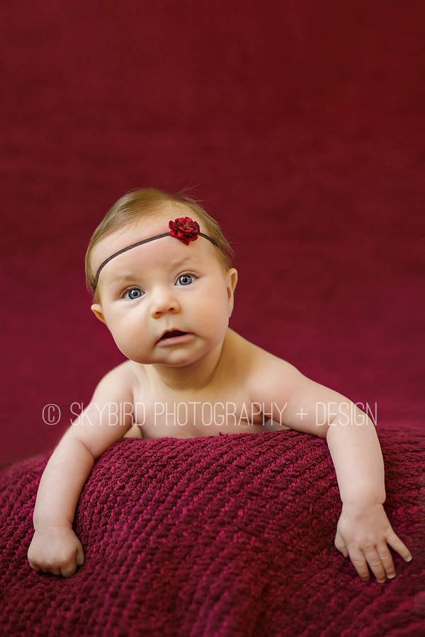 3 month old photography