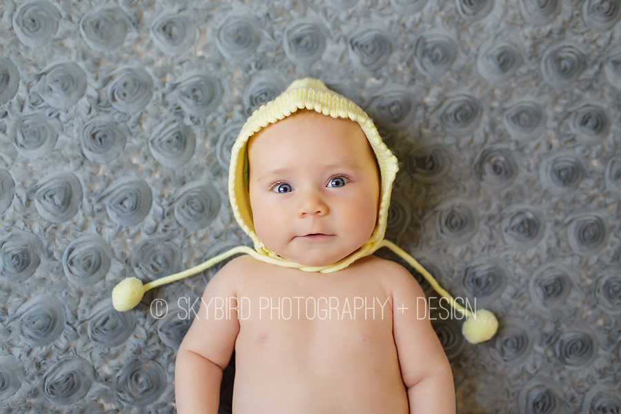 3 month old photography