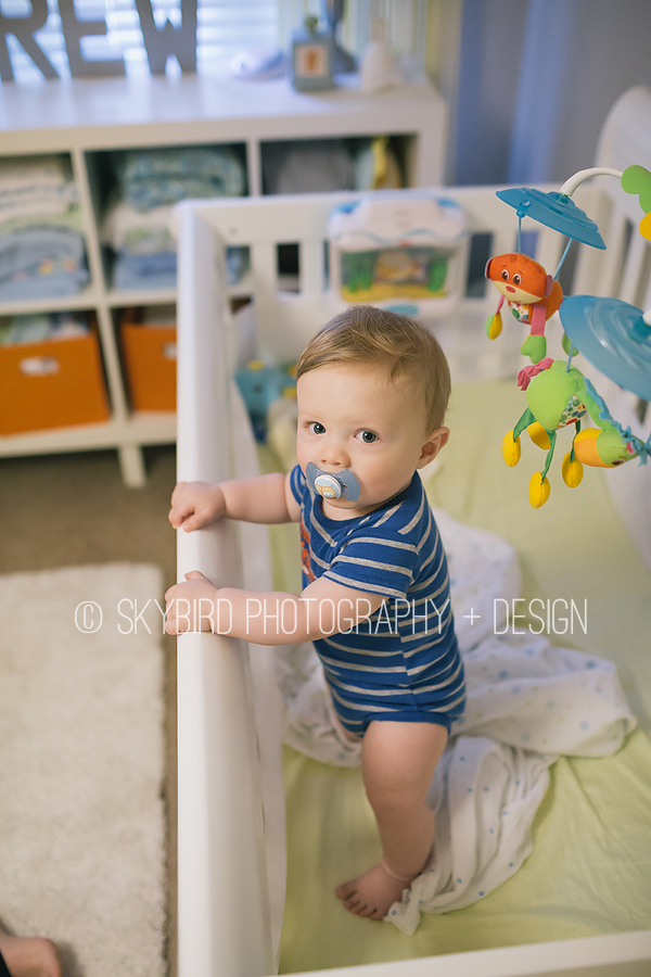 Baby Portraiture | Skybird Photography + Design | Charlottesville VA Baby photographer