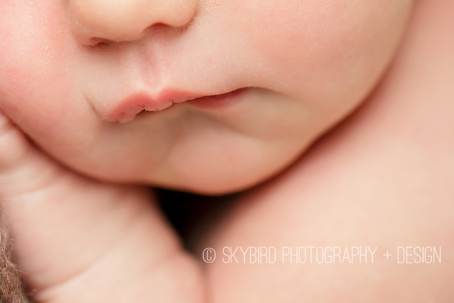 charlottesville boy newborn