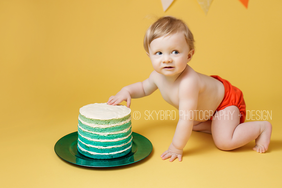 Skybird Photography + Design | Charlottesville VA Baby photographer | Charlottesville Cake smash