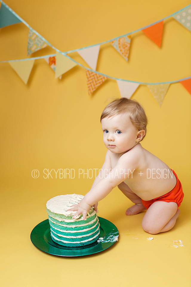 Skybird Photography + Design | Charlottesville VA Baby photographer | Charlottesville Cake smash