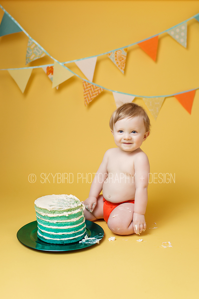 Skybird Photography + Design | Charlottesville VA Baby photographer | Charlottesville Cake smash
