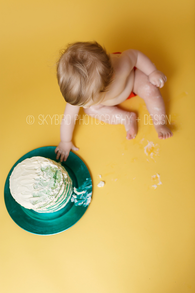 Skybird Photography + Design | Charlottesville VA Baby photographer | Charlottesville Cake smash