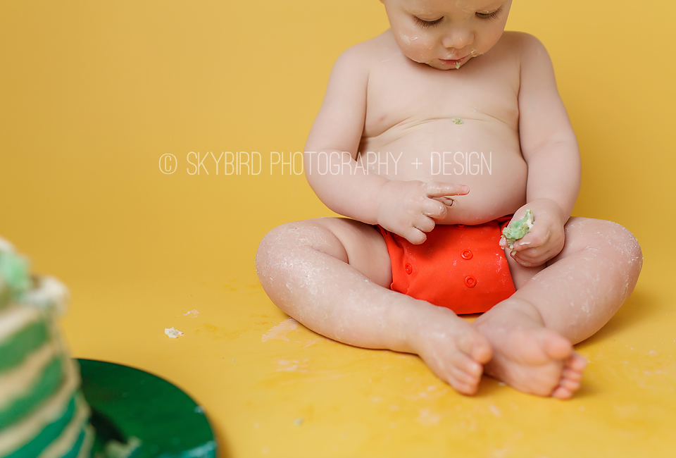 Skybird Photography + Design | Charlottesville VA Baby photographer | Charlottesville Cake smash