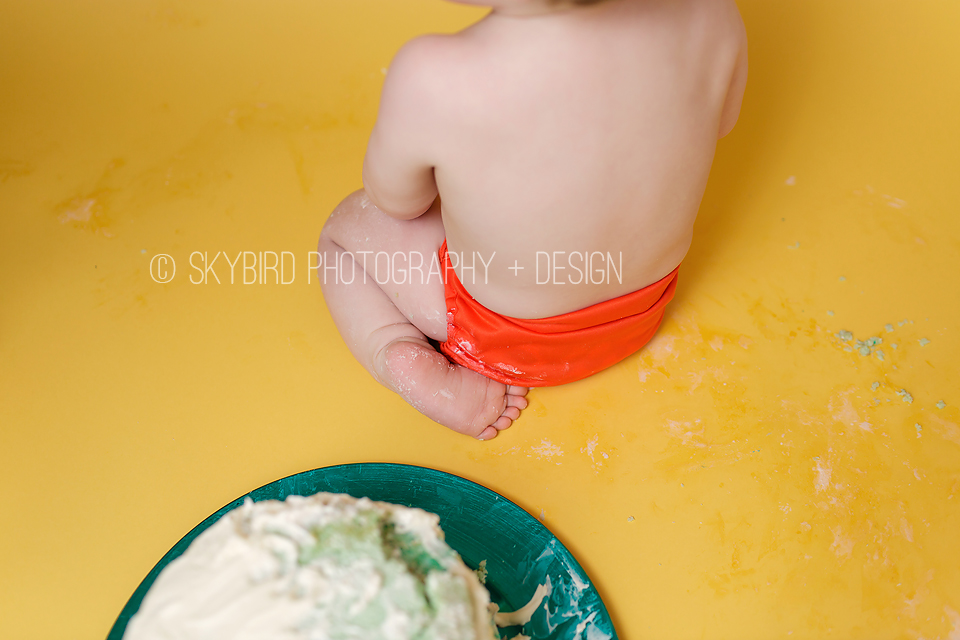 Skybird Photography + Design | Charlottesville VA Baby photographer | Charlottesville Cake smash