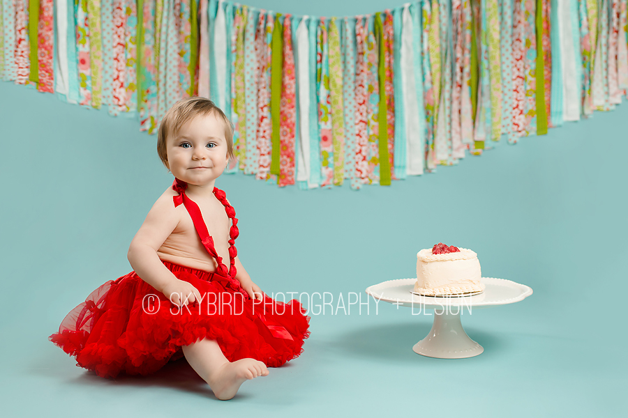 Skybird Photography + Design | Charlottesville VA Baby photographer | Charlottesville Cake smash