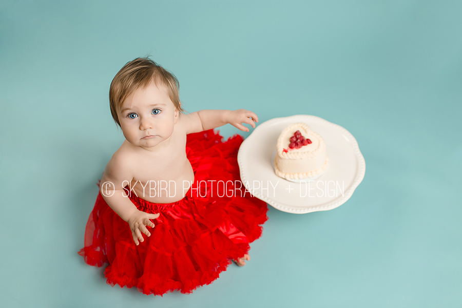 Skybird Photography + Design | Charlottesville VA Baby photographer | Charlottesville Cake smash