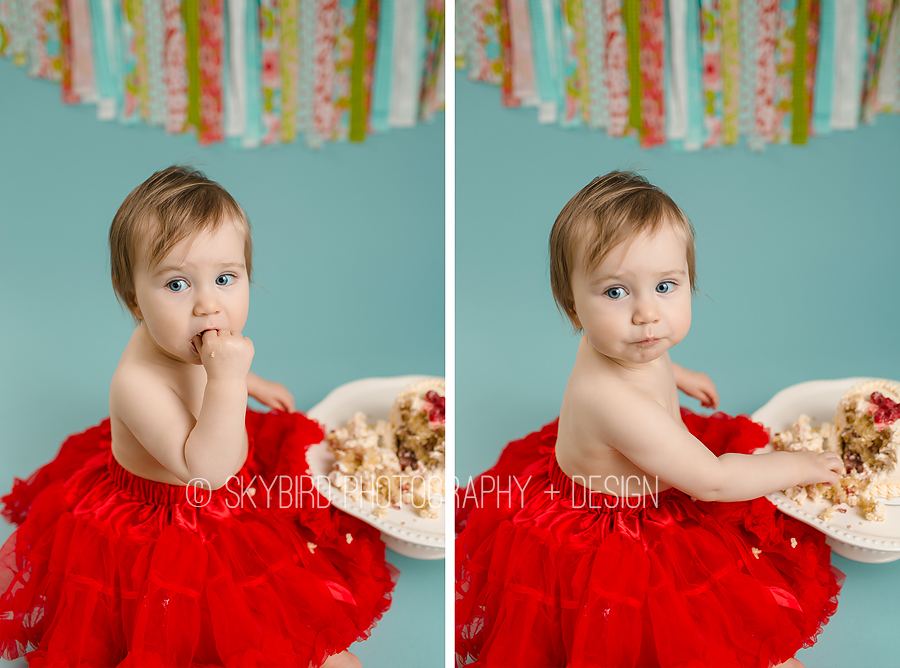 Skybird Photography + Design | Charlottesville VA Baby photographer | Charlottesville Cake smash