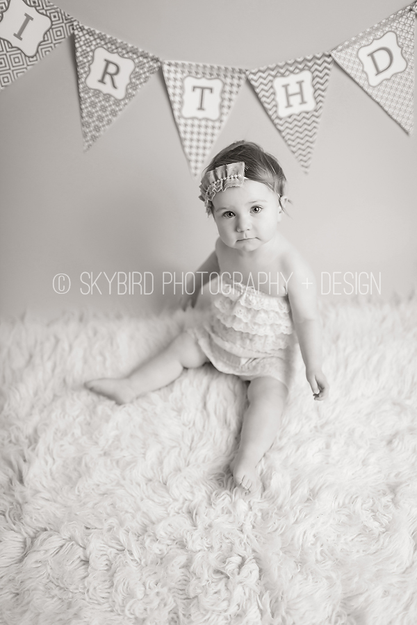 Skybird Photography + Design | Charlottesville VA Baby photographer | Charlottesville 1 Year Old Photography