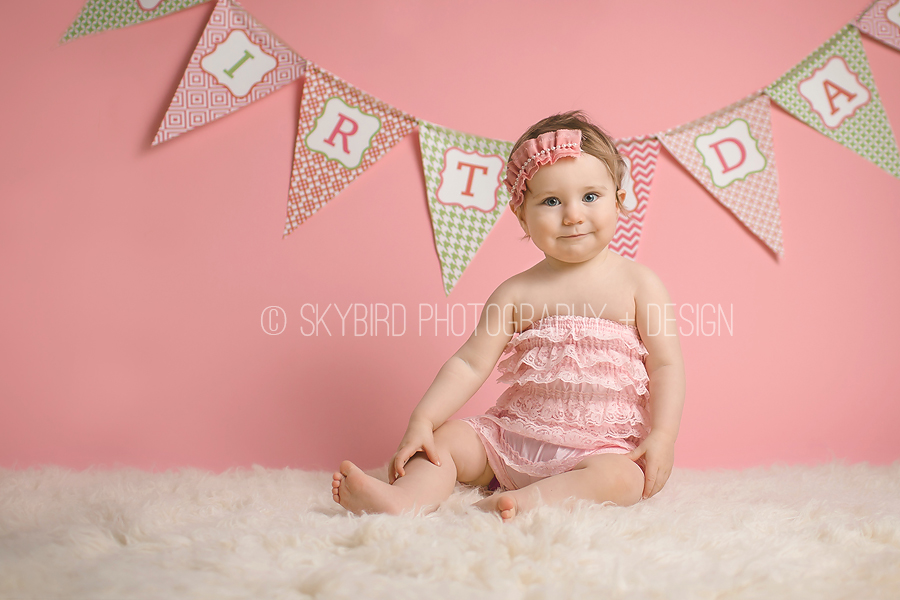 Skybird Photography + Design | Charlottesville VA Baby photographer | Charlottesville 1 Year Old Photography