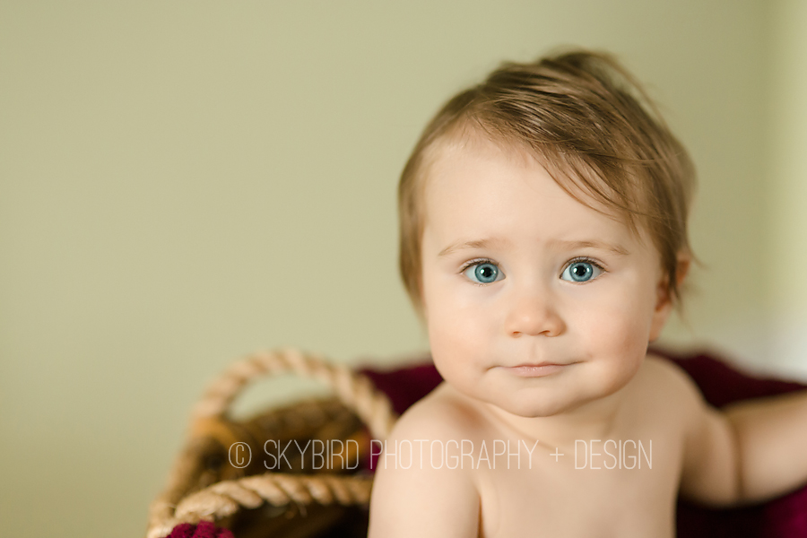 Skybird Photography + Design | Charlottesville VA Baby photographer | Charlottesville 1 Year Old Photography