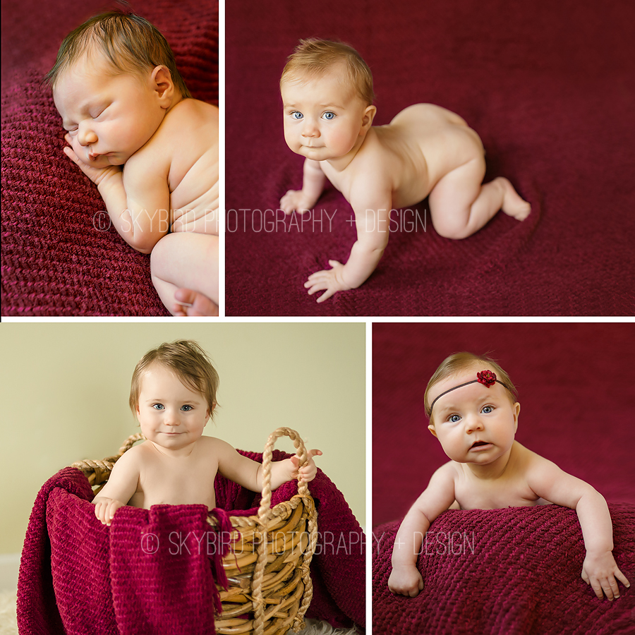 Skybird Photography + Design | Charlottesville VA Baby photographer | Charlottesville Comparison Series