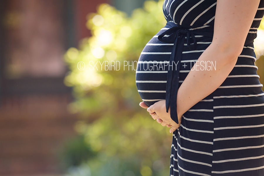 Charlottesville Maternity Photographer