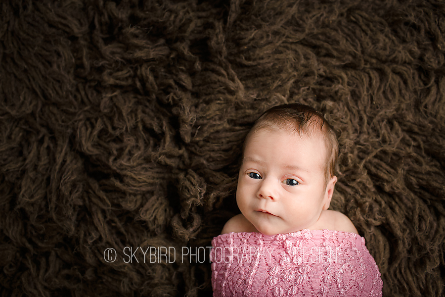 Richmond Newborn Photographer