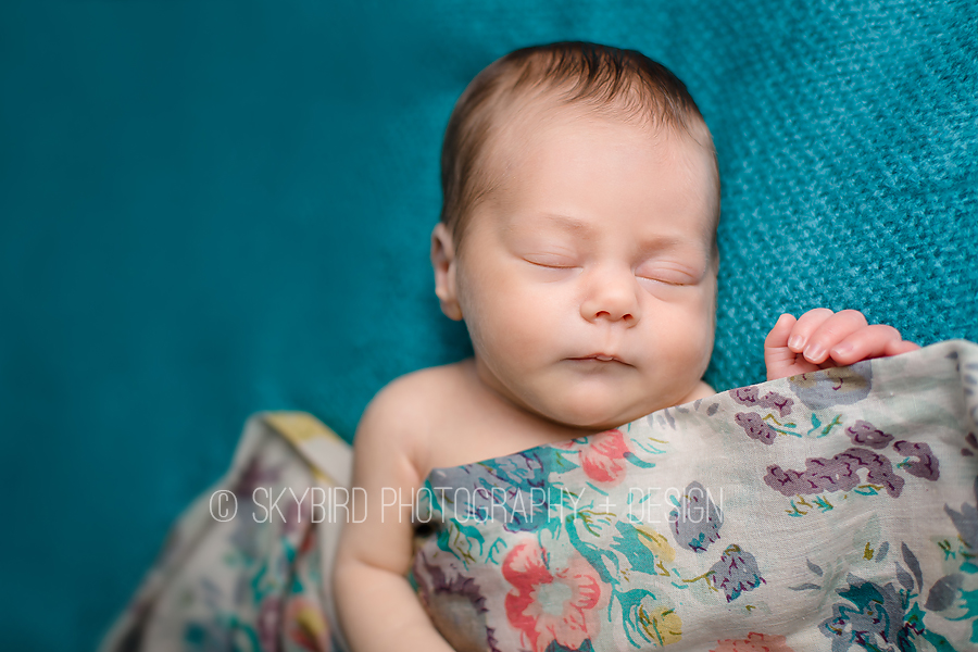 Richmond Newborn Photographer