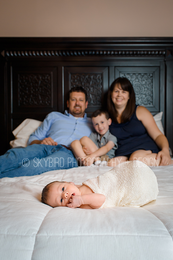 Richmond Newborn Photographer