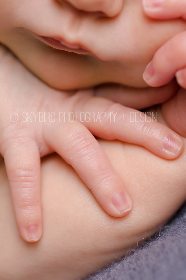 Richmond Newborn Photographer