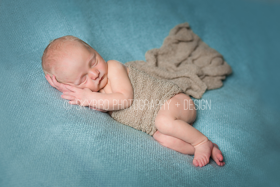 Virginia Newborn Photographer