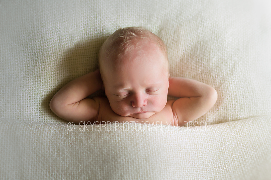 Virginia Newborn Photographer