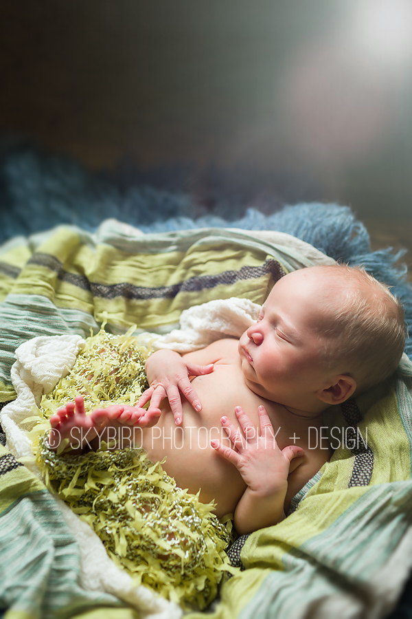 Virginia Newborn Photographer