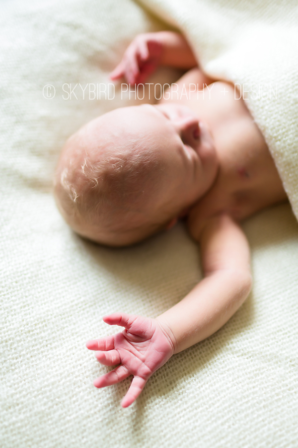 Virginia Newborn Photographer