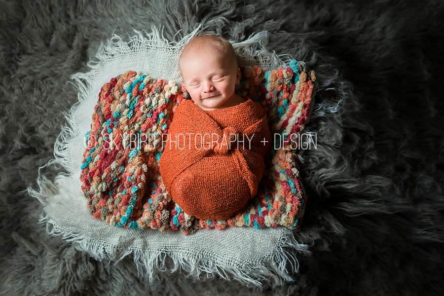 Virginia Newborn Photographer