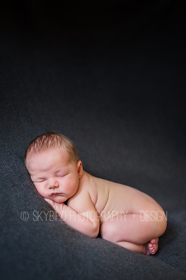 Crozet newborn photographer