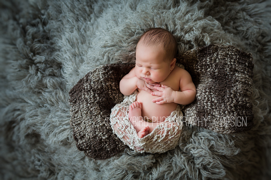 Crozet newborn photographer