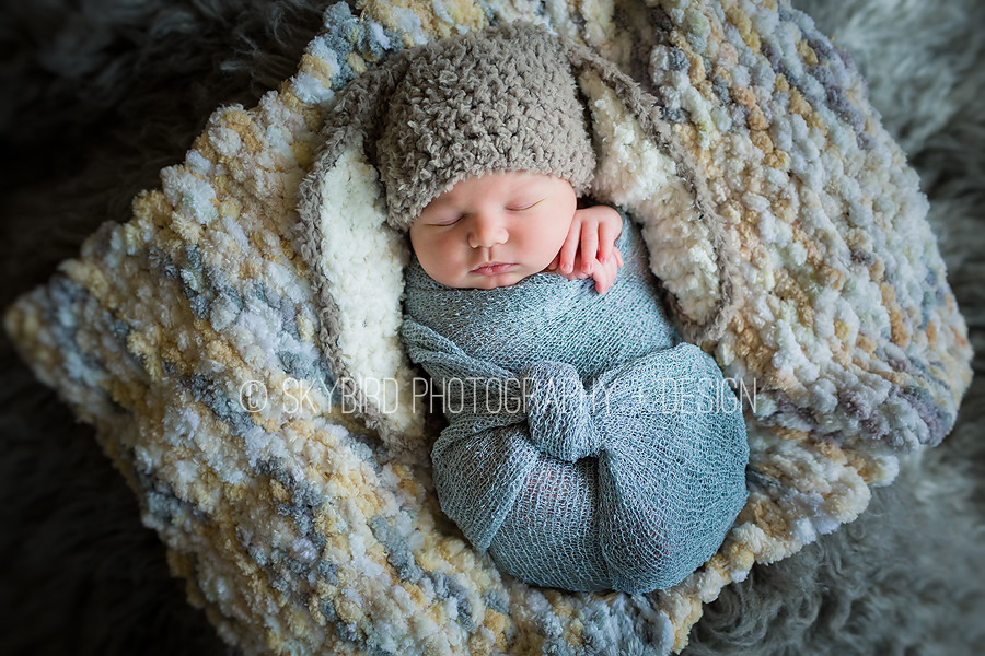 Crozet newborn photographer