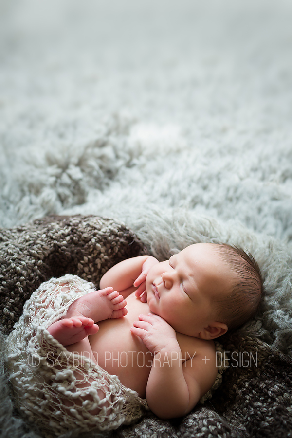 Crozet newborn photographer