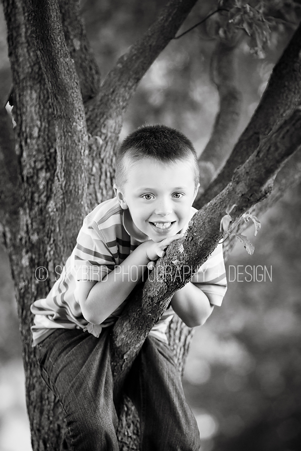 Charlottesville Child Photographer