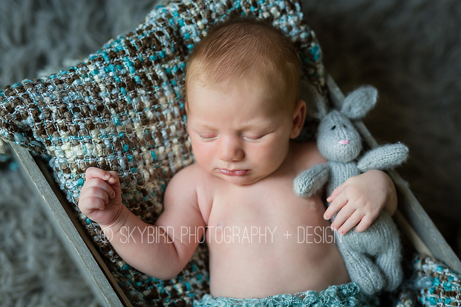 Crozet Newborn Photography