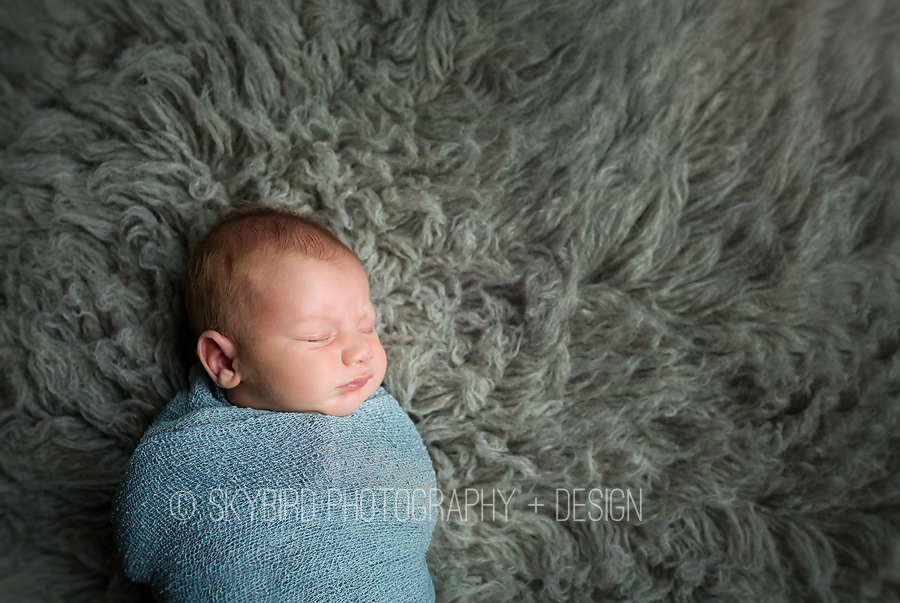 Crozet Newborn Photography