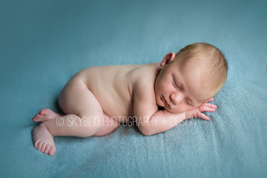 Crozet Newborn Photography