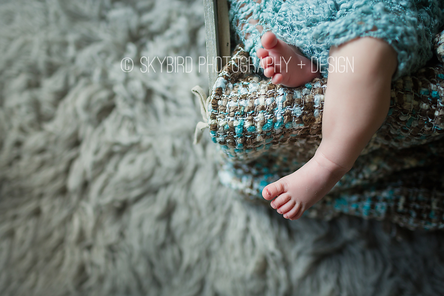 Crozet Newborn Photography