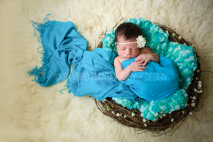 Charlottesville Newborn Photography