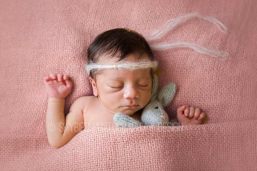 Charlottesville Newborn Photography