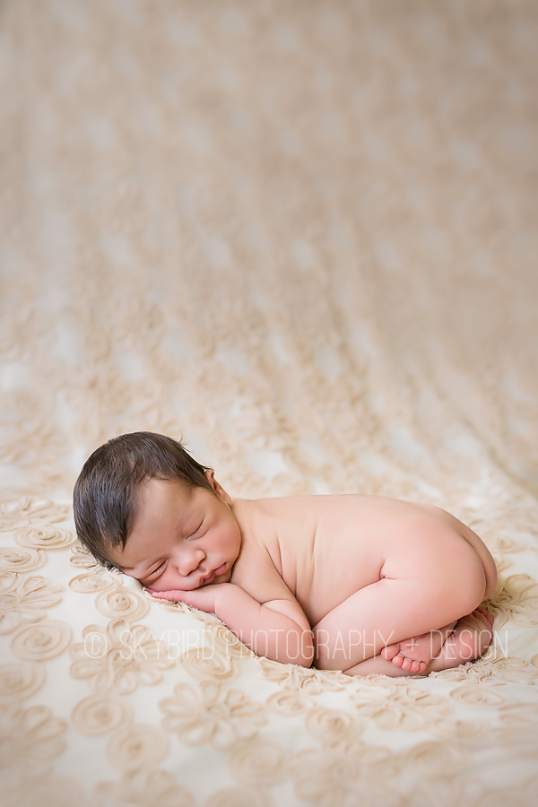 Charlottesville Newborn Photography