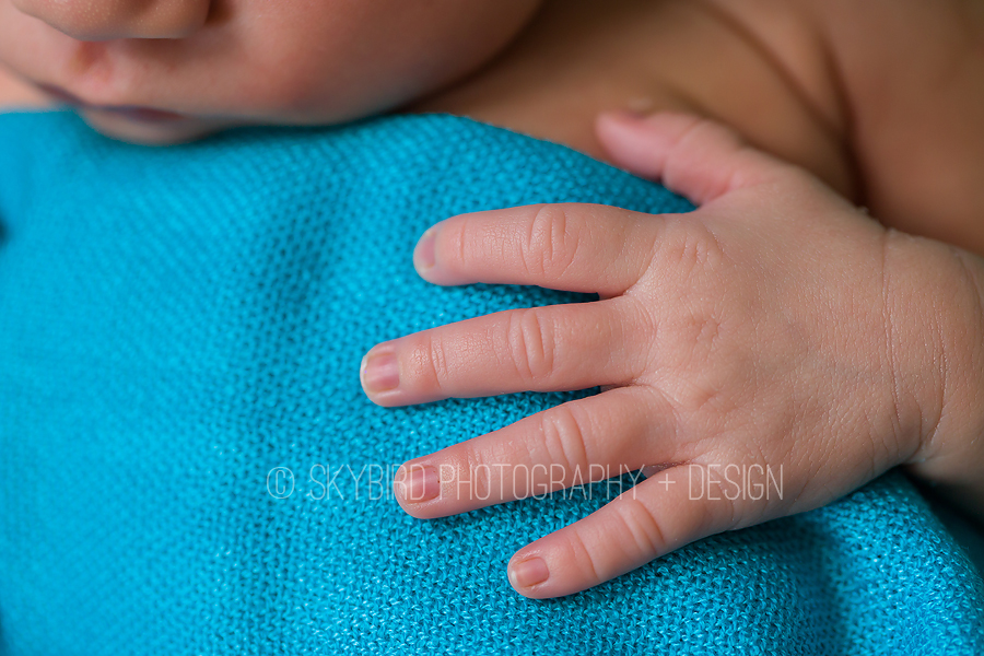 Charlottesville Newborn Photography