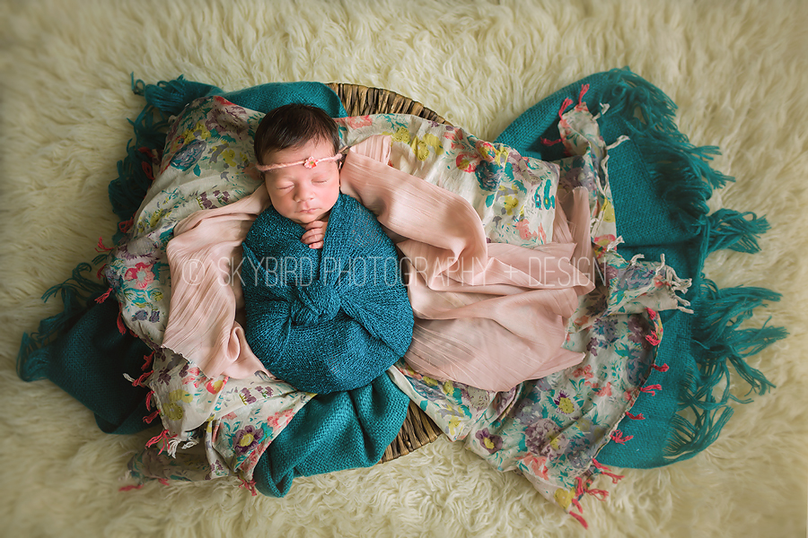 Charlottesville Newborn Photography