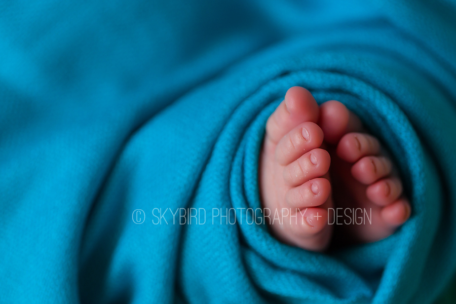 Charlottesville Newborn Photography