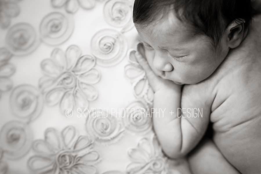 Charlottesville Newborn Photography