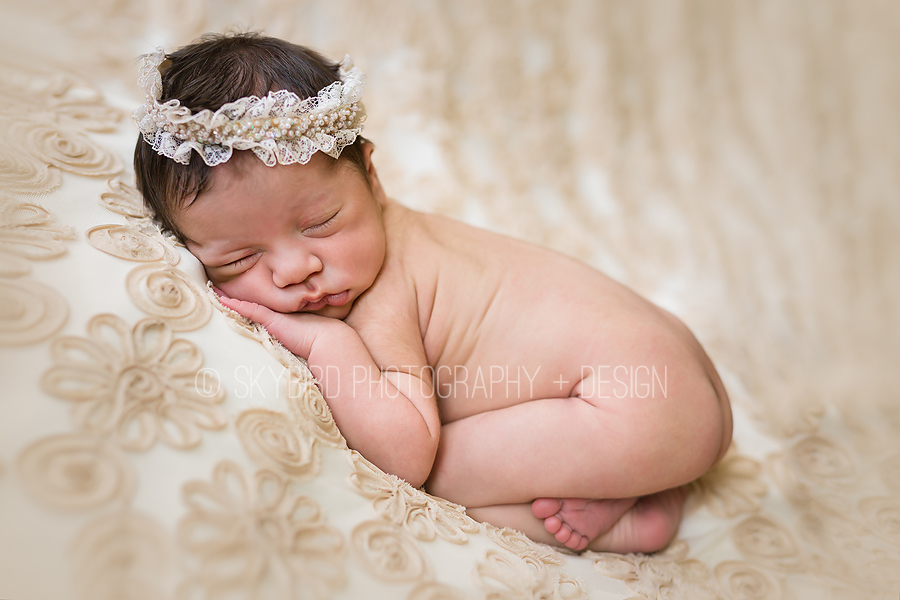 Charlottesville Newborn Photography