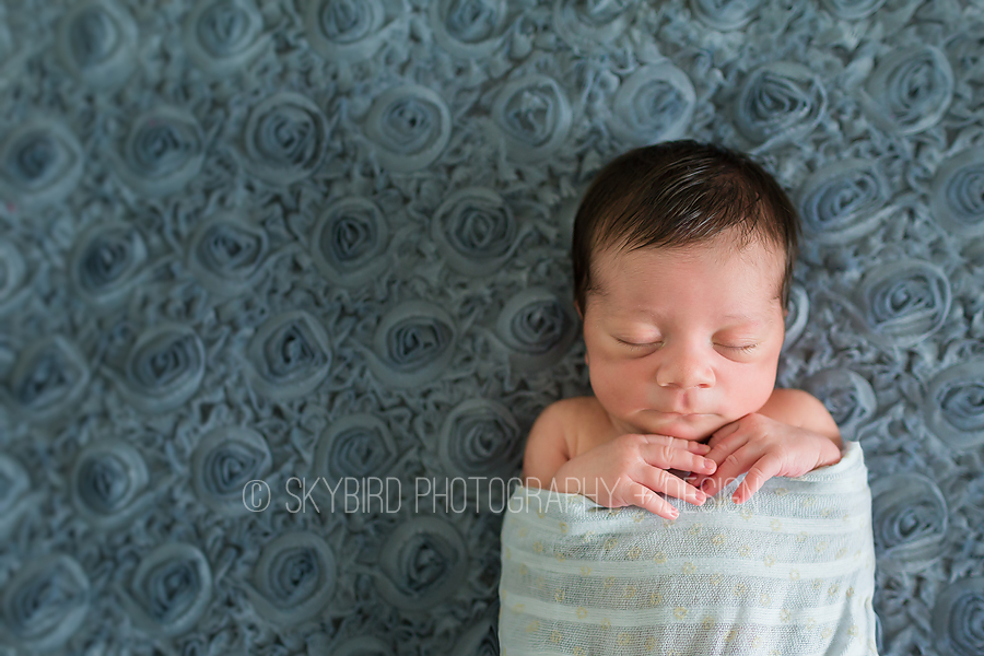 Charlottesville Newborn Photography
