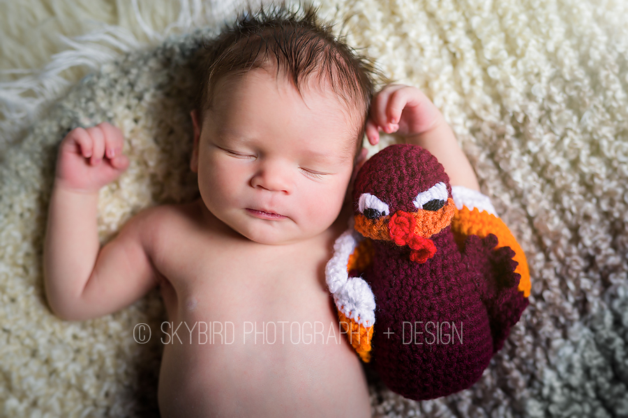 Virginia Tech Newborn