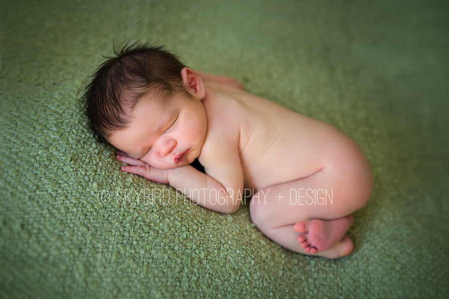 Charlottesville Virginia Baby Photographer